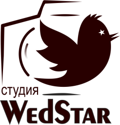 Студия Ведстар