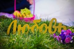 Алмаз Шамсиев