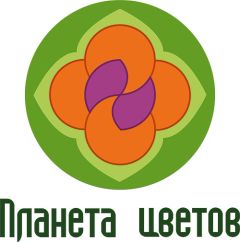 Анна Ванюшина