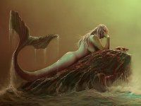 Фотостудия Брокен Гласс Криэйтив Студио