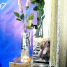 Татьяна Трюханова Разва